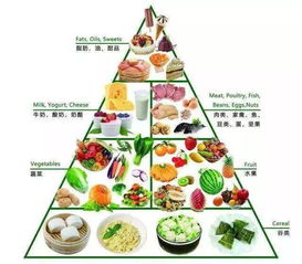 全面了解食物营养种类，为孩子健康成长打下坚实基础