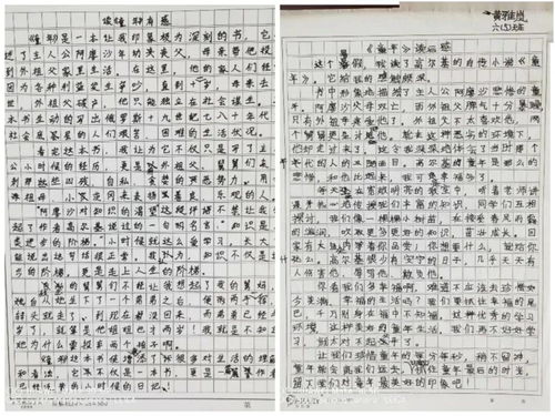 快乐的童年时光，四年级的游乐活动作文