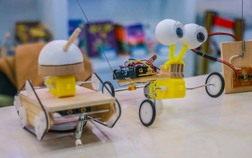 寓教于乐，如何通过娱乐项目促进儿童全面发展