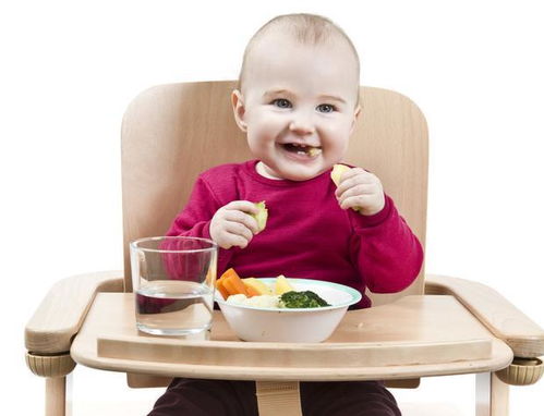 科学育儿，掌握食物营养搭配原则，为孩子健康成长护航