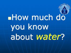Playful Learning:How English Play Dates Foster Language Development