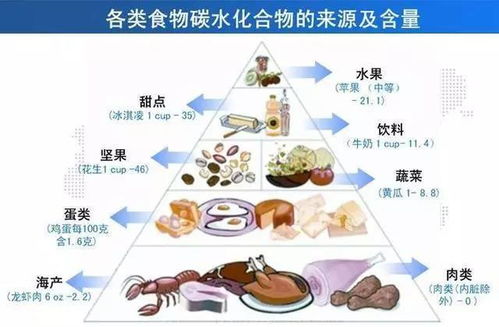 探索食物中的宝藏，营养物质手抄报
