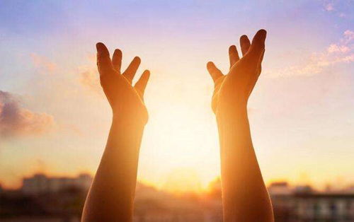 成长中的失去与得到，育儿中的情感教育与心理调适