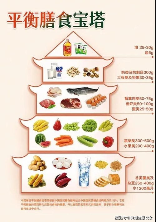 中国营养膳食成分表，为儿童健康成长保驾护航