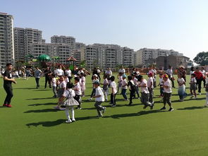 幼儿教育，连接家庭与学校的桥梁