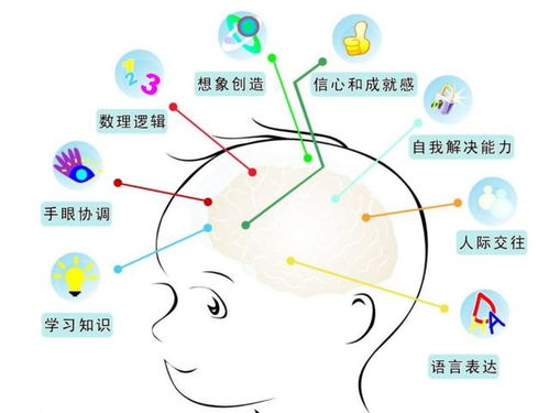幼儿园教育心理学必背考点归纳，为孩子的成长打下坚实基础