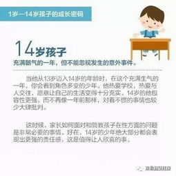 全面关注，孩子成长中不可忽视的五个关键领域