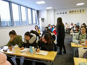 幼儿教育专业，深入探讨其是否属于师范专业及其重要性