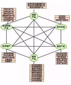 农村休闲娱乐项目不足的原因分析及对策建议