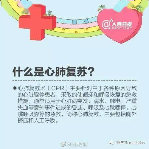 全面解析，幼儿园教育的关键名词及其含义