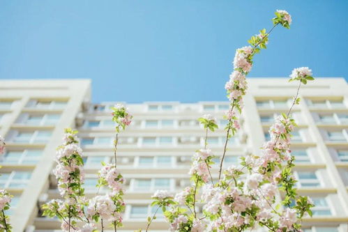 培养未来的花朵，幼师专业的重要性与职业发展