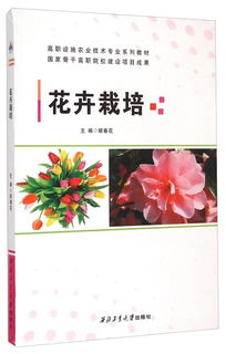 培养未来的花朵，幼师专业的重要性与职业发展