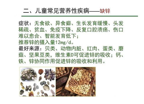 谷类食物营养全解析，为宝宝健康成长打下坚实基础