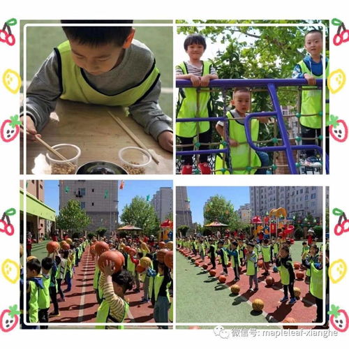 寓教于乐，幼儿园游戏教学法的实践与创新