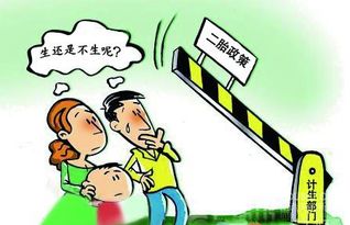 全面关注孩子发展，关键领域的平衡与促进