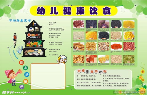 宝宝健康成长，食物营养手抄报全解析