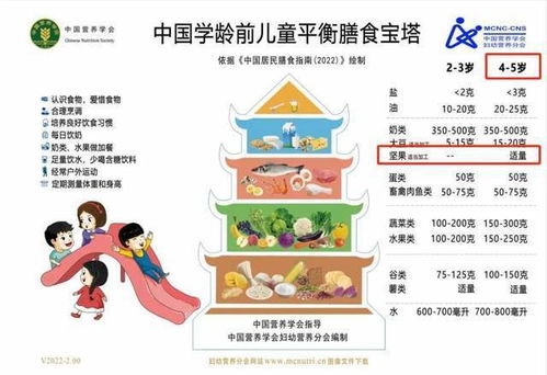 营养金字塔，构建孩子健康成长的基石
