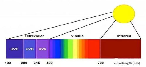 如何科学地为宝宝选择适合的光谱玩具