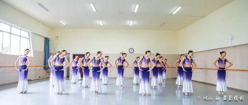 幼师专业中的舞蹈教育，培养下一代的艺术与运动能力