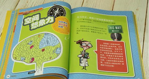 幼儿教育杂志摘抄及读后感，探索早期教育的奥秘