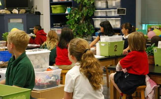 玩乐标语，激发孩子创造力与社交能力的新途径