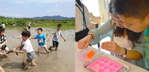 农村休闲旅游，亲子教育的新天地