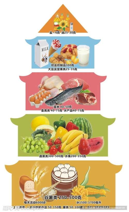 营养膳食金字塔2021，为孩子打造健康饮食的黄金法则