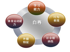 孩子成长和发展的黄金法则，理解、支持与引导