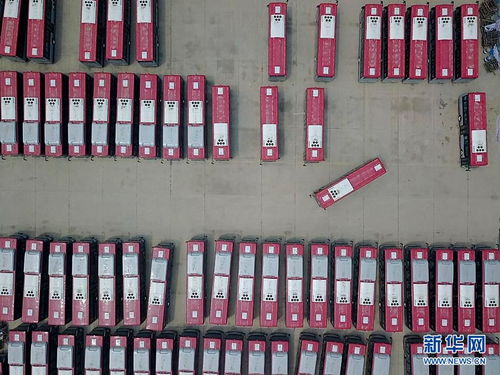 2021成长计划，为学生打造全面发展的蓝图