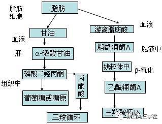 了解钠，食物营养成分表中的关键矿物质