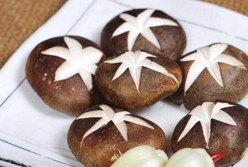 营养宝库，食物中的营养与健康作用