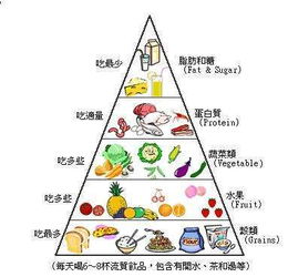 食物均衡金字塔，构建孩子健康成长的营养基石
