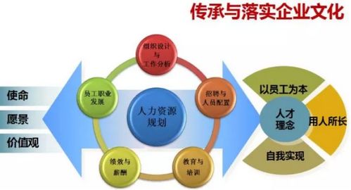 成长型企业的发展，培养下一代创新者的育儿策略