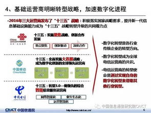 企业发展历程回顾，从初创到成熟，育儿专家的角色演变