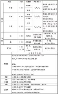 了解食物营养成分表，家长必备的营养知识指南