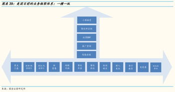 企业成长能力弱的原因分析，从内部管理到市场环境的全面审视