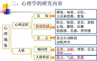 构建幼儿教育心理学的内容体系，理论、实践与应用