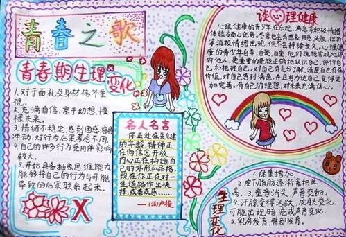 食物的营养小报手抄报，探索孩子健康成长的秘密