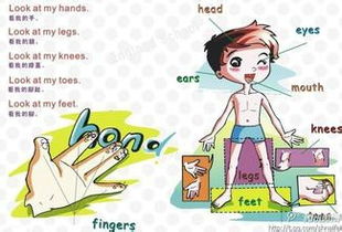 如何通过游戏提升孩子的英语学习兴趣