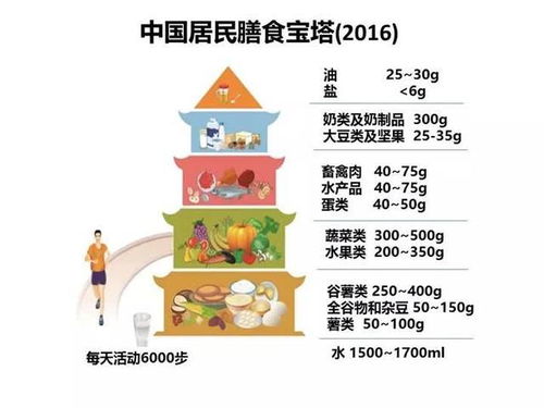 构建孩子的健康饮食，营养膳食金字塔的指南