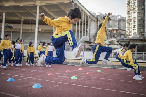 幼儿教育学，理论与实践的桥梁