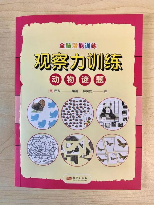 激发潜能，寓教于乐，家庭游戏活动方案