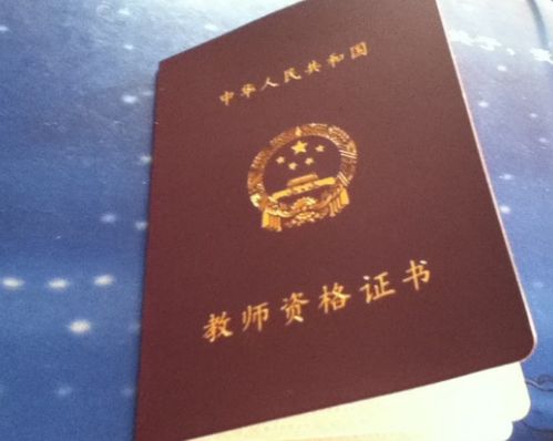 幼儿教师资格证成绩查询指南，步骤、注意事项与常见问题解答