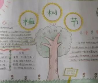 如何制作一份既美观又有教育意义的食物营养手抄报