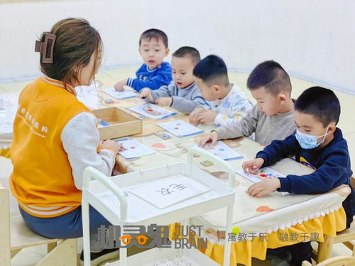 幼儿园成长指南，为孩子的早期教育打下坚实基础