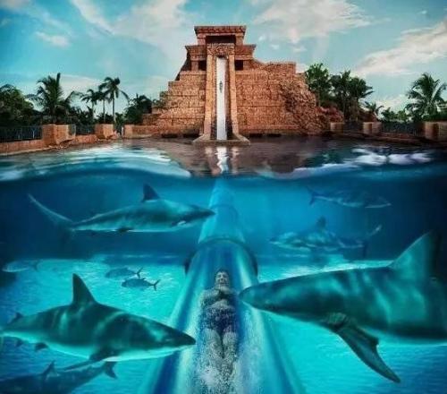 Exploring the Joys of Amusement Parks:A Guide for Parents and Children