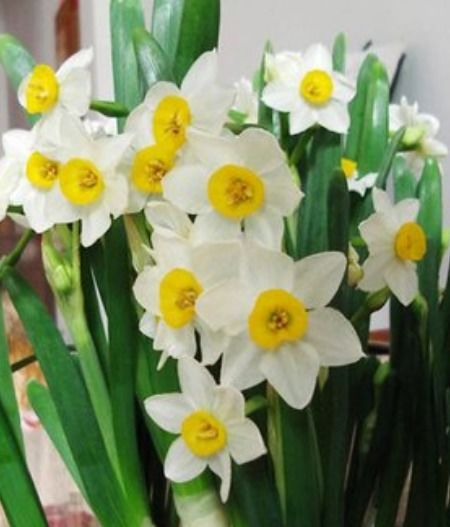 幼儿教育研究室，培养未来的花朵