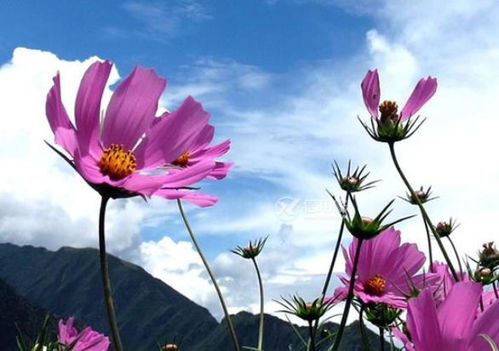 幼儿教育研究室，培养未来的花朵