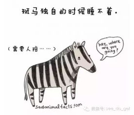 幼儿教育期刊，培养下一代的动物保护意识