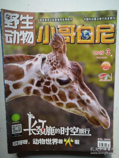 幼儿教育期刊，培养下一代的动物保护意识